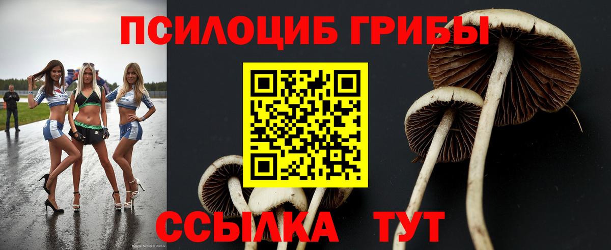 Галлюциногенные грибы мицелий Шарыпово